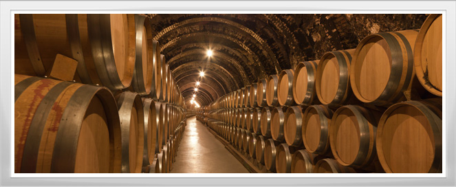 Wine Cellar Training Program